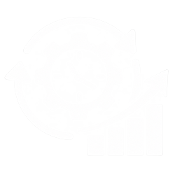 Optimise Over Time